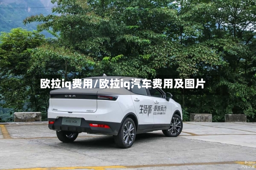 欧拉iq费用/欧拉iq汽车费用及图片
