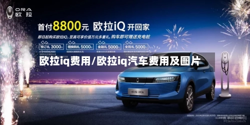 欧拉iq费用/欧拉iq汽车费用及图片-第2张图片