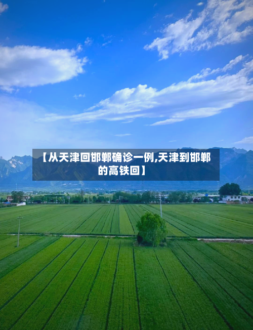 【从天津回邯郸确诊一例,天津到邯郸的高铁回】-第3张图片