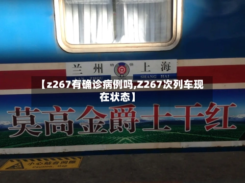 【z267有确诊病例吗,Z267次列车现在状态】-第2张图片