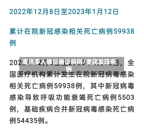 重庆多人确诊确诊病例/重庆发现病例