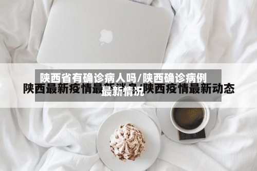 陕西省有确诊病人吗/陕西确诊病例最新情况-第3张图片