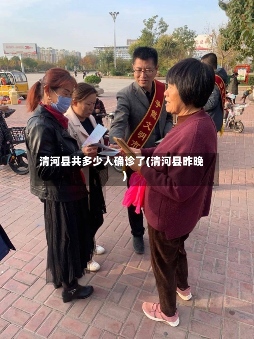 清河县共多少人确诊了(清河县昨晚)