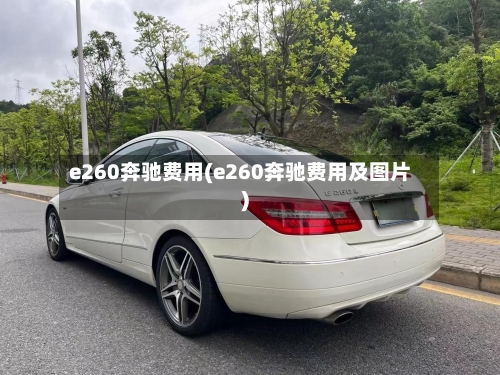 e260奔驰费用(e260奔驰费用及图片)-第2张图片