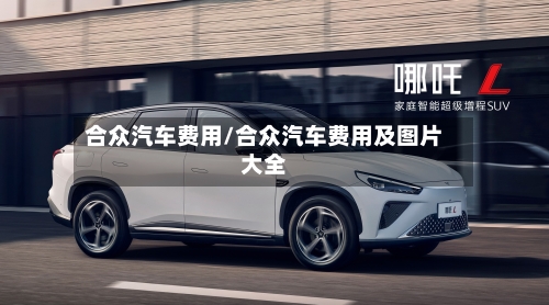 合众汽车费用/合众汽车费用及图片大全-第3张图片