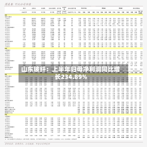 山东玻纤:上半年归母净利润同比增长234.89%