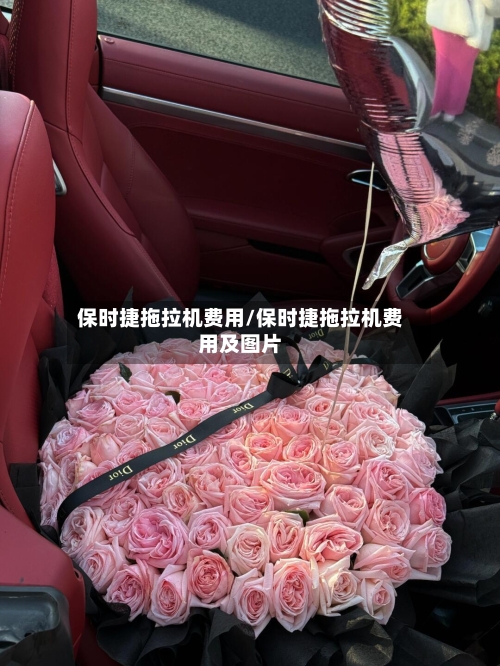保时捷拖拉机费用/保时捷拖拉机费用及图片-第3张图片