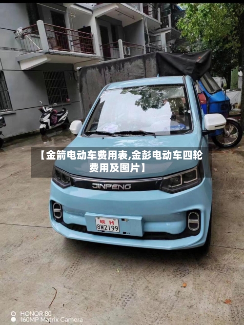 【金箭电动车费用表,金彭电动车四轮费用及图片】-第3张图片