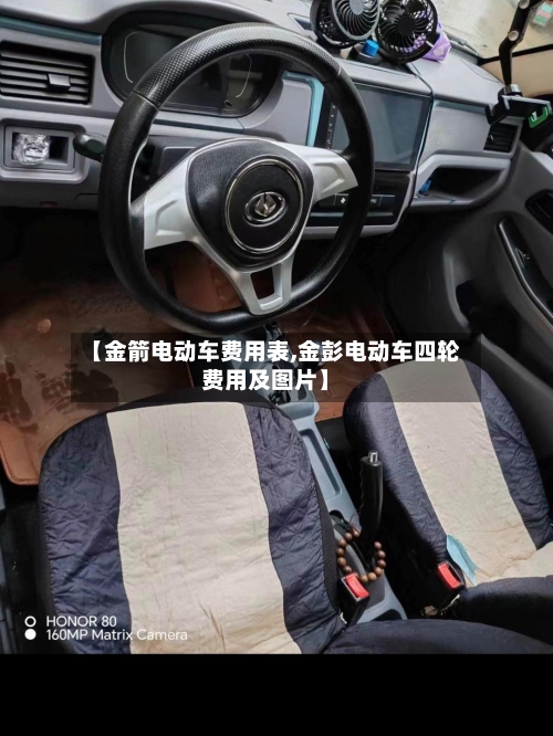 【金箭电动车费用表,金彭电动车四轮费用及图片】
