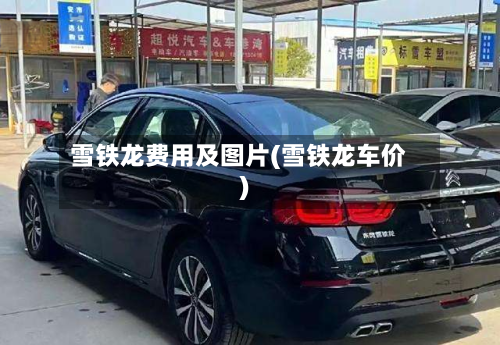 雪铁龙费用及图片(雪铁龙车价)-第2张图片