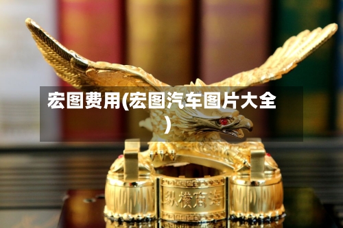 宏图费用(宏图汽车图片大全)-第2张图片