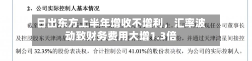 日出东方上半年增收不增利，汇率波动致财务费用大增1.3倍-第3张图片