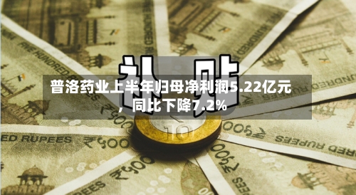 普洛药业上半年归母净利润5.22亿元，同比下降7.2%-第3张图片