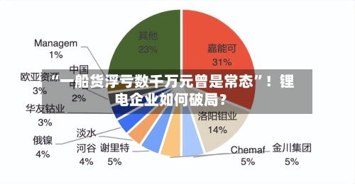 “一船货浮亏数千万元曾是常态”！锂电企业如何破局？-第3张图片
