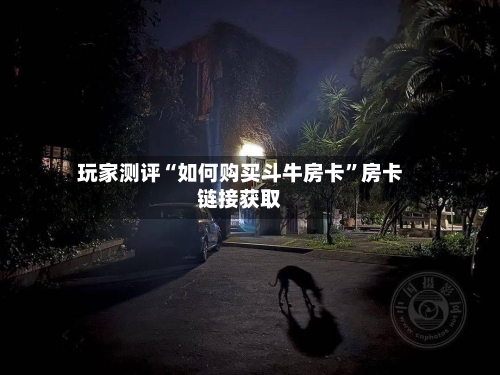玩家测评“如何购买斗牛房卡	”房卡链接获取-第2张图片
