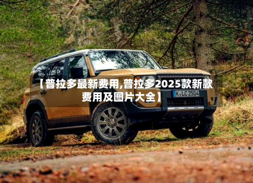 【普拉多最新费用,普拉多2025款新款费用及图片大全】