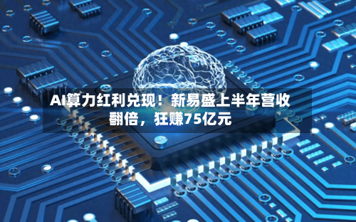 AI算力红利兑现！新易盛上半年营收翻倍	，狂赚75亿元-第3张图片