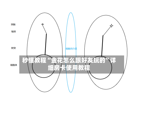 秒懂教程“金花怎么跟好友玩的”详细房卡使用教程-第2张图片