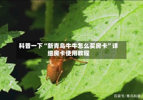 科普一下“新青鸟牛牛怎么买房卡	”详细房卡使用教程-第2张图片