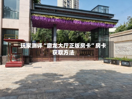 玩家测评“磨龙大厅正版房卡	”房卡获取方法-第2张图片