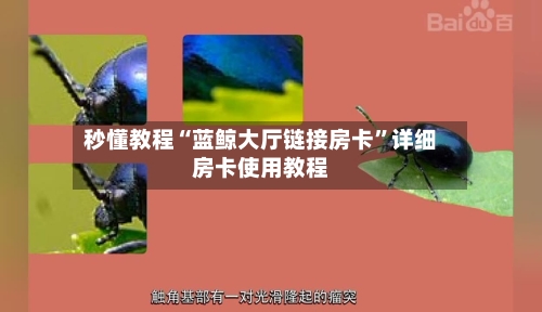 秒懂教程“蓝鲸大厅链接房卡”详细房卡使用教程-第2张图片