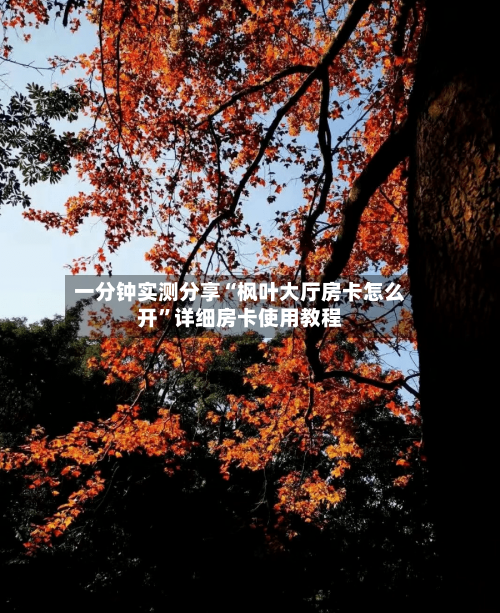 一分钟实测分享“枫叶大厅房卡怎么开”详细房卡使用教程-第2张图片