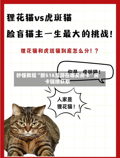 秒懂教程“新518互游在哪买房卡	”房卡链接获取-第3张图片