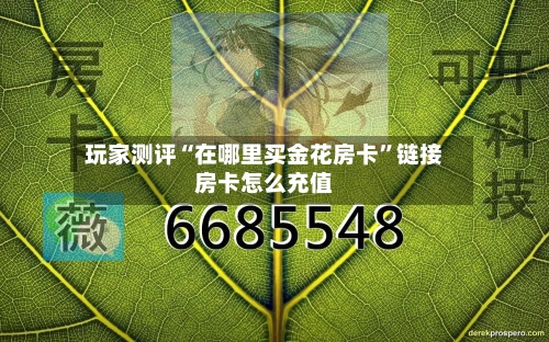 玩家测评“在哪里买金花房卡”链接房卡怎么充值-第2张图片