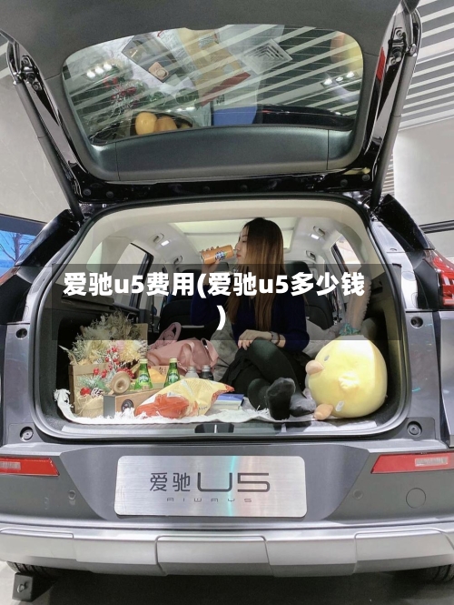 爱驰u5费用(爱驰u5多少钱)