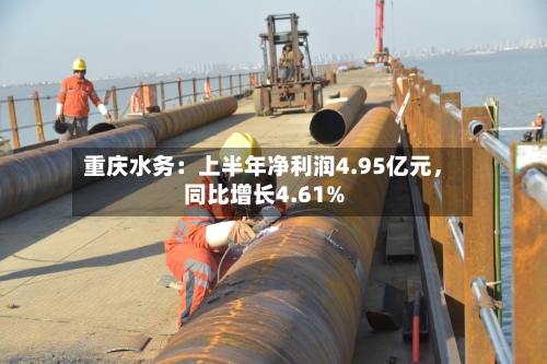 重庆水务：上半年净利润4.95亿元	，同比增长4.61%-第3张图片