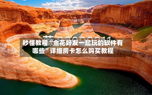 秒懂教程“金花好友一起玩的软件有哪些”详细房卡怎么购买教程-第2张图片