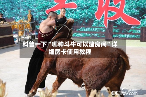 科普一下“哪种斗牛可以建房间”详细房卡使用教程-第3张图片