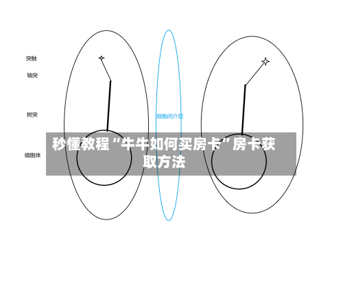 秒懂教程“牛牛如何买房卡	”房卡获取方法-第3张图片