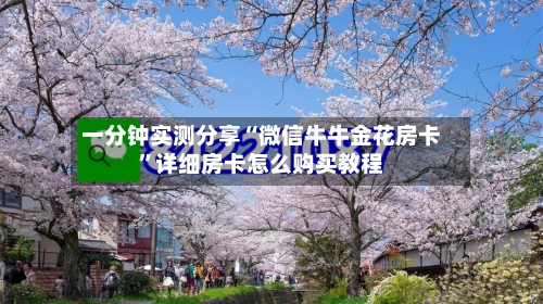 一分钟实测分享“微信牛牛金花房卡	”详细房卡怎么购买教程-第2张图片