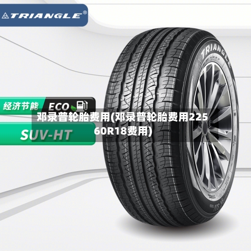 邓录普轮胎费用(邓录普轮胎费用22560R18费用)