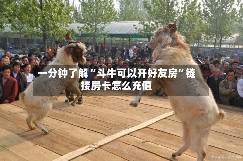 一分钟了解“斗牛可以开好友房”链接房卡怎么充值-第2张图片
