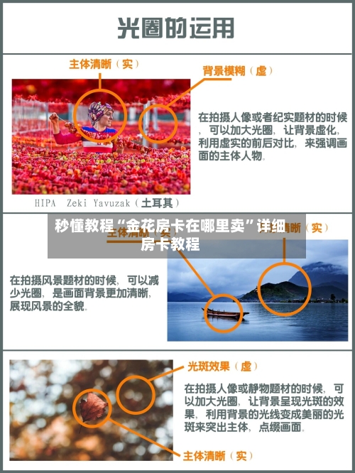 秒懂教程“金花房卡在哪里卖”详细房卡教程-第2张图片