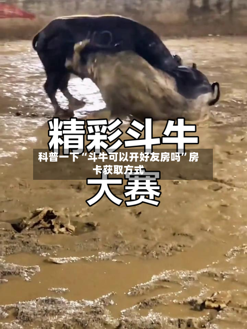 科普一下“斗牛可以开好友房吗	”房卡获取方式-第2张图片