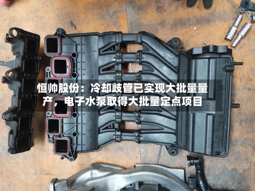 恒帅股份：冷却歧管已实现大批量量产，电子水泵取得大批量定点项目-第3张图片