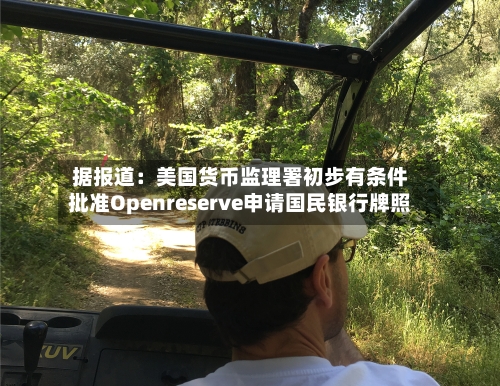 据报道:美国货币监理署初步有条件批准Openreserve申请国民银行牌照-第2张图片