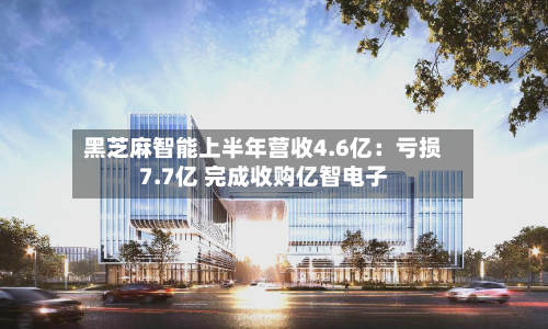 黑芝麻智能上半年营收4.6亿:亏损7.7亿 完成收购亿智电子-第2张图片