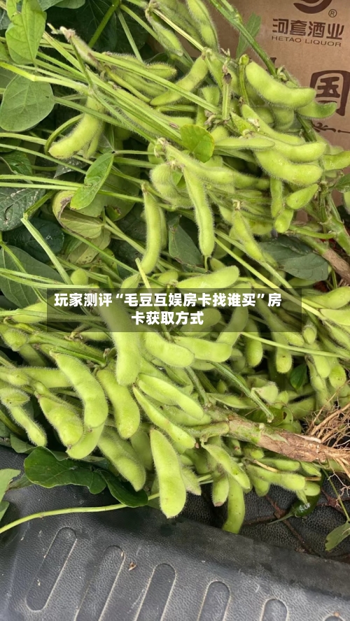 玩家测评“毛豆互娱房卡找谁买”房卡获取方式