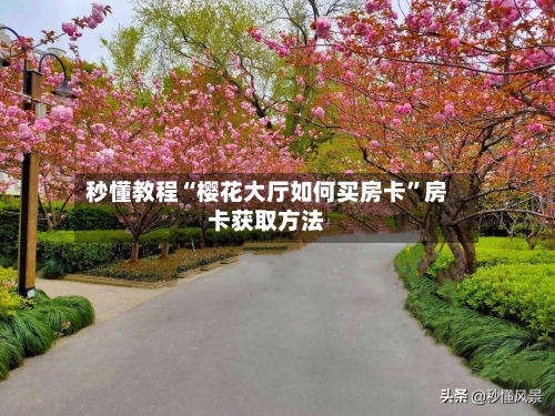 秒懂教程“樱花大厅如何买房卡”房卡获取方法-第2张图片