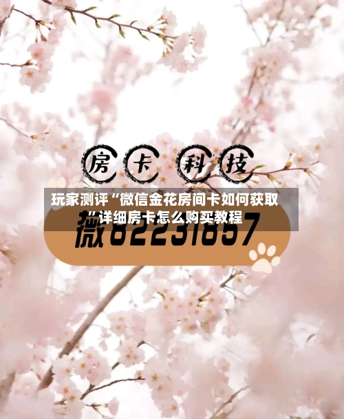 玩家测评“微信金花房间卡如何获取”详细房卡怎么购买教程-第2张图片