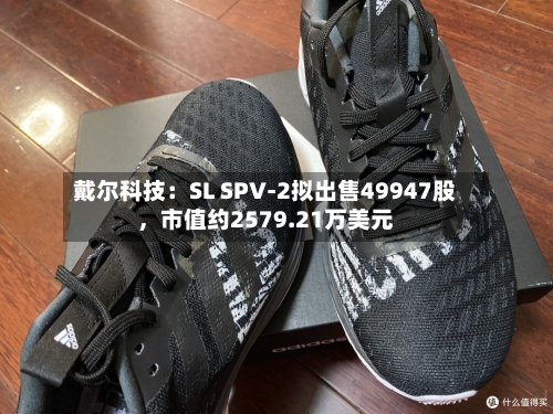 戴尔科技：SL SPV-2拟出售49947股，市值约2579.21万美元-第3张图片