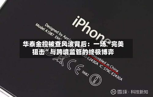 华泰金控被查风波背后：一场“完美狙击”与跨境监管的终极博弈-第2张图片