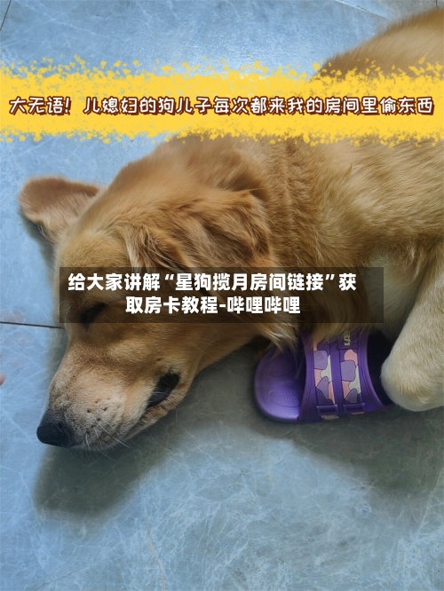 给大家讲解“星狗揽月房间链接”获取房卡教程-哔哩哔哩-第2张图片