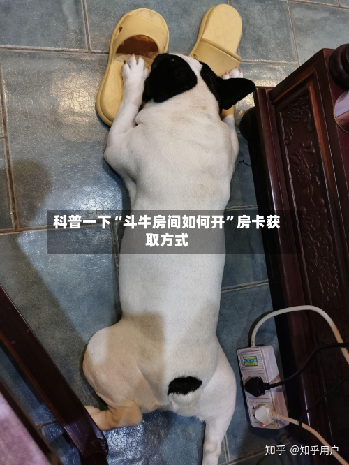 科普一下“斗牛房间如何开”房卡获取方式-第3张图片