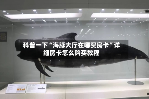 科普一下“海豚大厅在哪买房卡	”详细房卡怎么购买教程-第3张图片