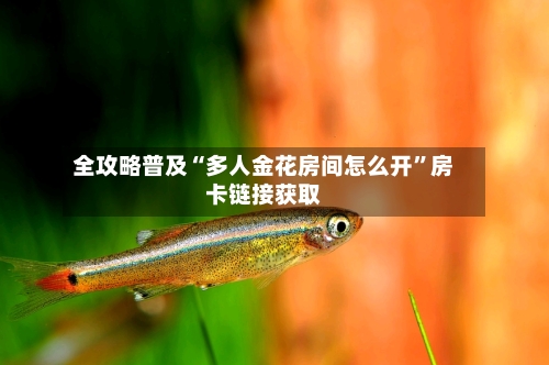 全攻略普及“多人金花房间怎么开	”房卡链接获取-第3张图片